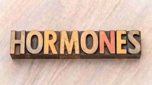 HRT Is A Treatment For Women That Replaces Hormones