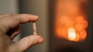 hand holding biomass pellet close up